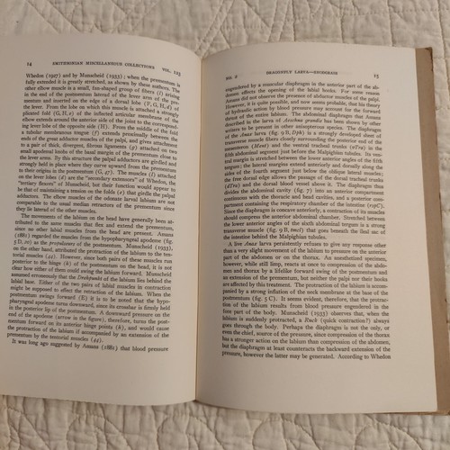 Rare 1954 Dragonfly Larva Entomology Smithsonian Publication 4175 Volume 123 - 第 7/24 張圖片