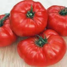 TOMATO SEED, BEEFSTEAK, HEIRLOOM, 100 SEEDS, NON GMO, VEGETABLE