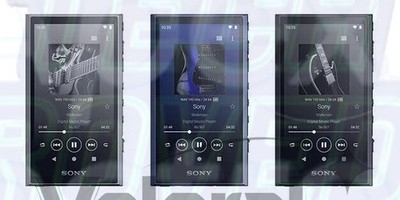 Sony Walkman NW-A306 32G Black Blue Gray Music Without Original Box