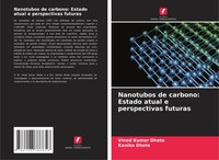 Nanotubos De Carbono: Estado Atual E Perspectivas Futuras Dhote (U. A.) Buch