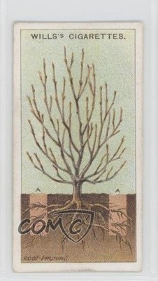 1923 Wills Gardening Hints Tobacco Root-Pruning #35 1i3