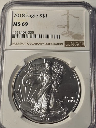 2018 Silver Eagle NGC MS-69 $1 Dollar 1oz Uncirculated .999 -MS-Brown Label