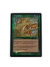 Briar Patch Mercadian Masques FOIL MAGIC the Gathering MTG CARD