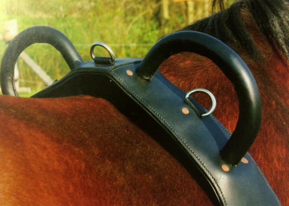 Voltigiergurt Leder Top-Qualität, Voltigurt, Shetty Pony Cob WB *NEU* - Bild 2 von 3