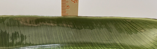Pottery Barn Tropical Leaf Long Serving Bowl Dish Bowl, Large 18" x 7 1/2" Green - Picture 6 of 7