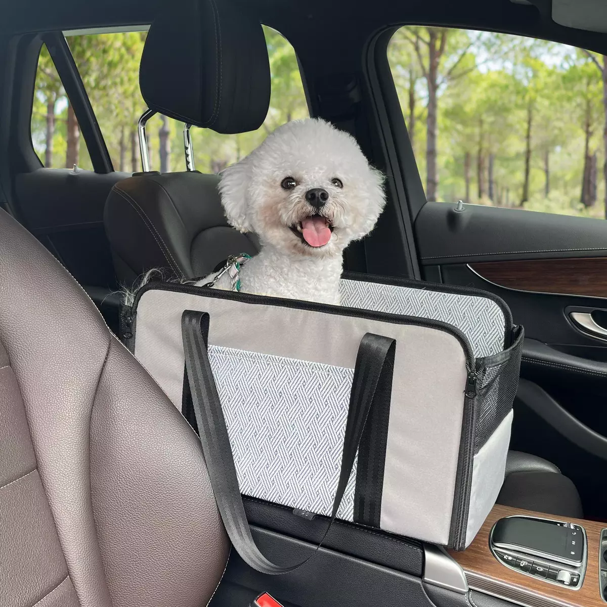 Seat for Dogs and Cats Summer Removable Pet Carrier Bed Car