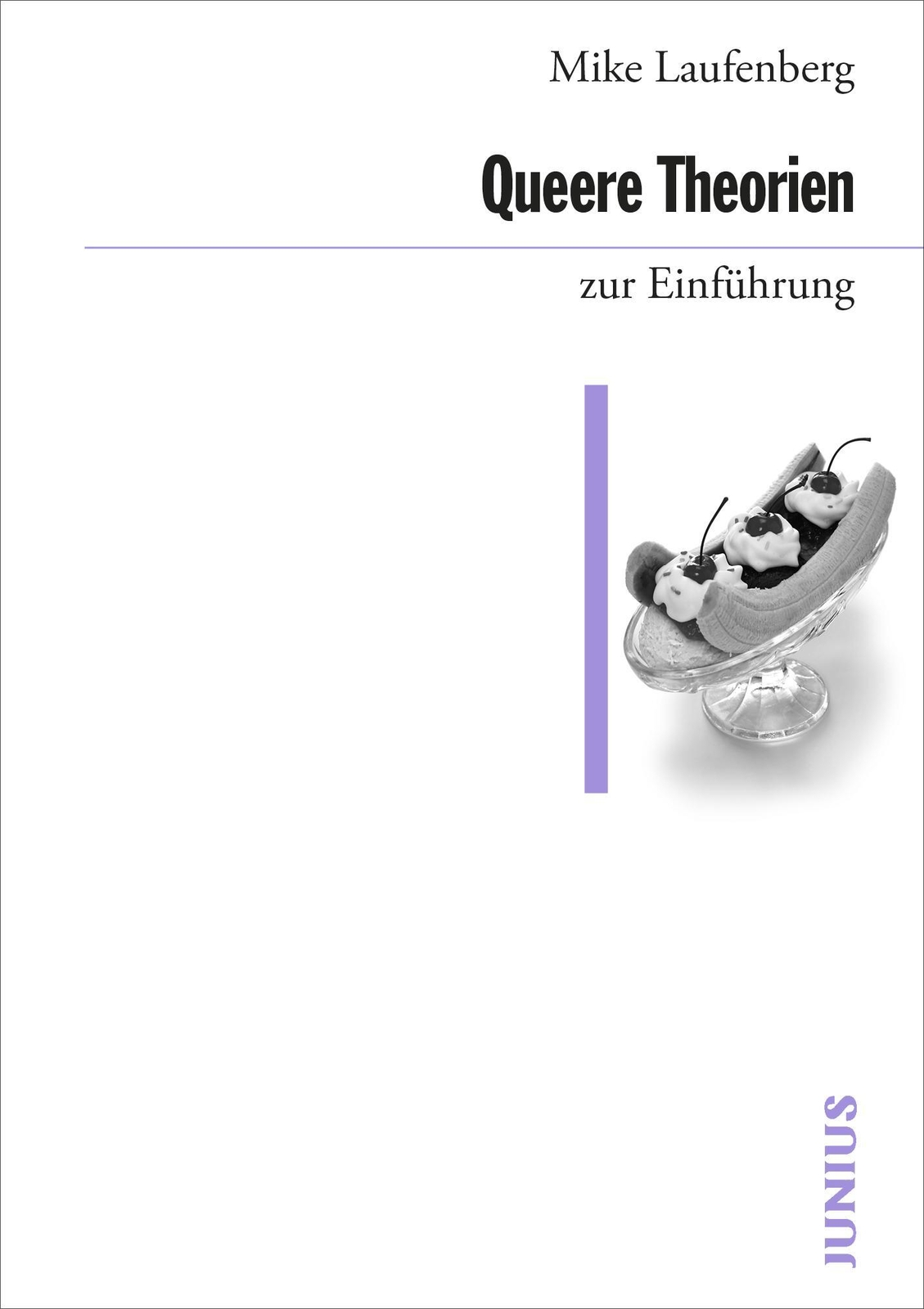 Thumbnail - Queere Theorien Zur Einführung | Mike Laufenberg | Taschenbuch | 300