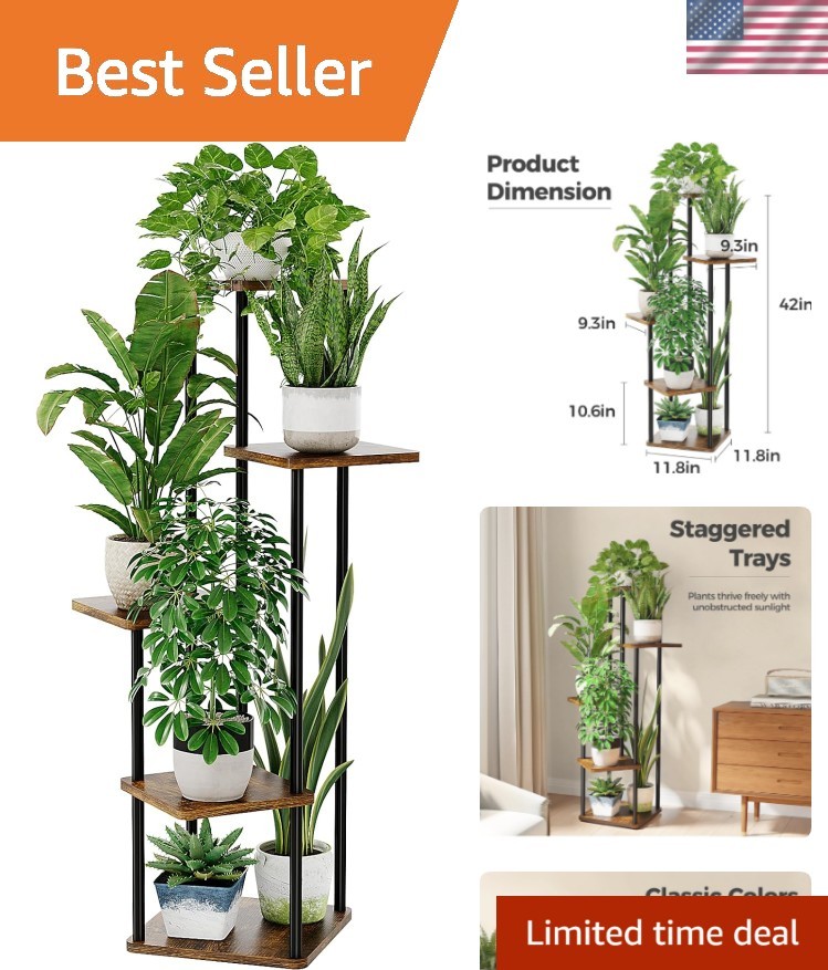 oxygen plants for indoor Oxygen Plants | Buy Trendy Oxygen Plants Combo Online at Lowest Price main image 0