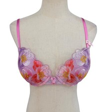 NWT Victoria's Secret Push-Up Bra 32D Pink Floral Dream Angels Embroidered Pink