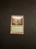 Griffin Canyon [Visions] Magic MTG Cards NM/LP