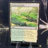 Magic the Gathering - Windswept Heath - MTG - Khans Of Tarkir - LP - Rare Land