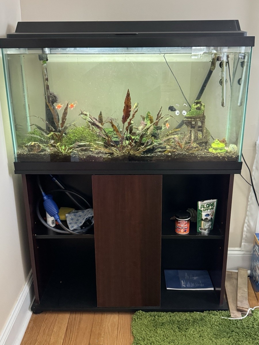 Freshwater Aquarium Aquarium Setup 55 Gallon Fish Tank Petsmart