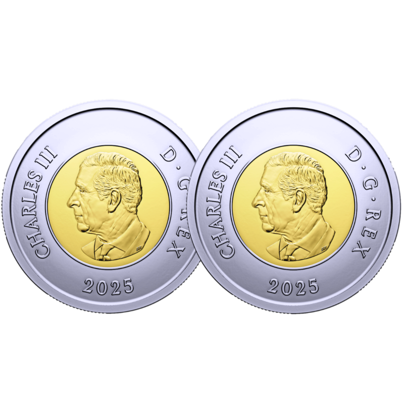 🇨🇦 Canada $2 Dollars Toonie Coin, Unknown Soldier tomb, Color +