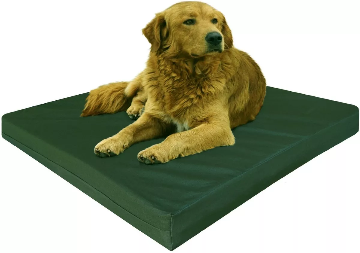 XL Extra Large Green Canvas Pet Dog Bed Orthopedic Waterproof