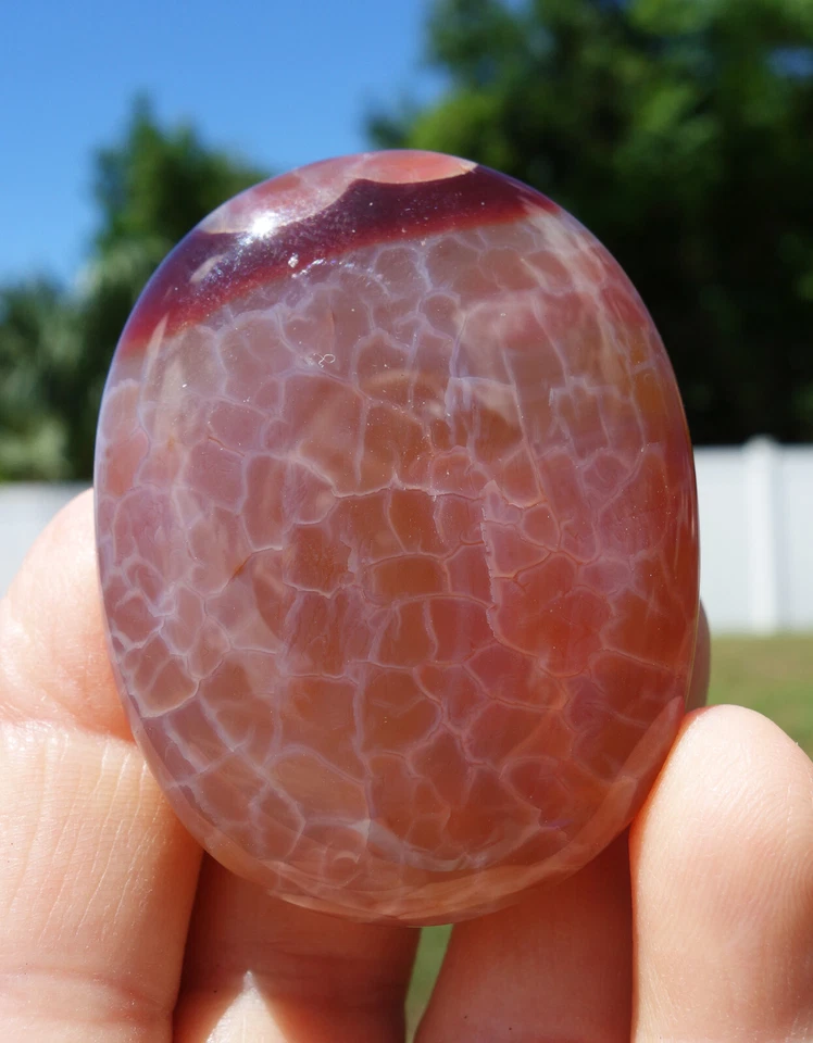 Impresionante PIEL DE SERPIENTE ÁGATA Cristal Impresionantes Colores Piedra de Palma Pulida En Venta Foto 4 de 4