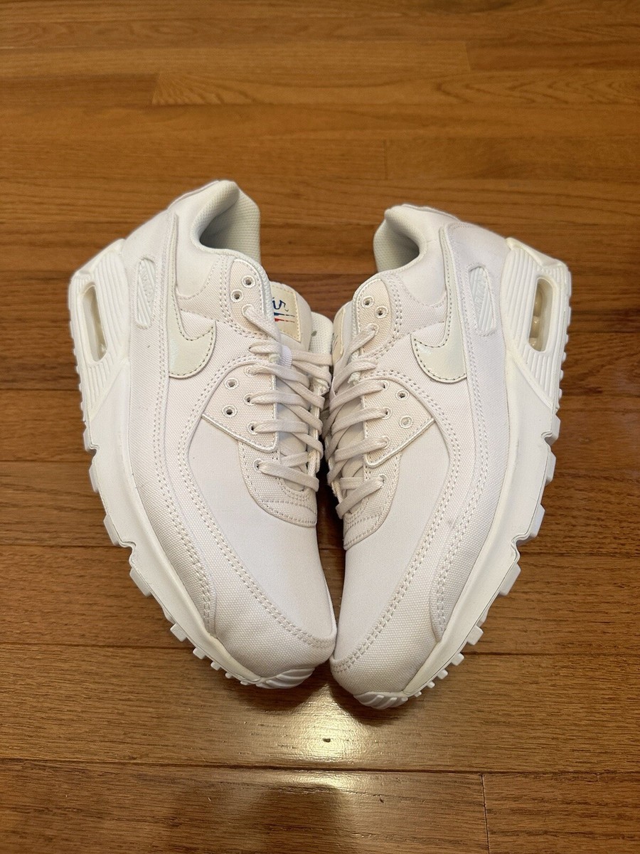 Size 11 Nike Air Max 90 Paris City Pack