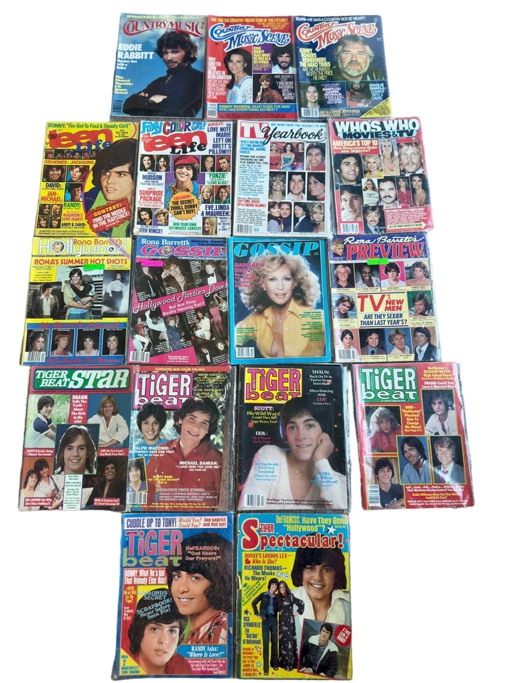 Vintage 70s Teen Magazines Rona Barrett Tiger Beat Hollywood Gossip Pop Culture  Foto 2 de 4