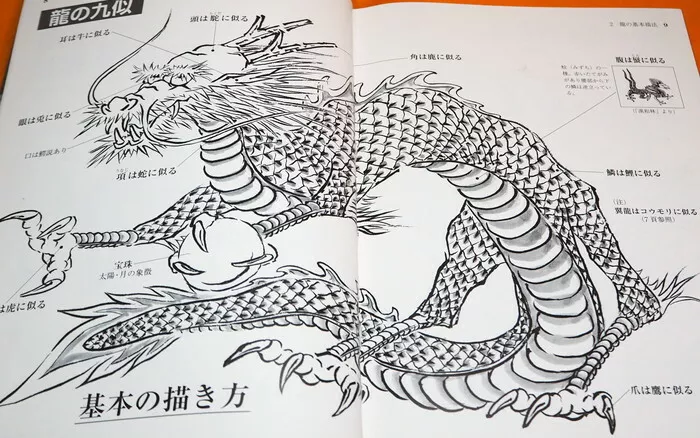 Japanese dragon drawing