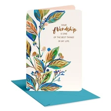 American Greetings Friendship Thank You Card, Appreciation Card for Friend (How