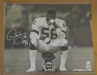 Lawrence Taylor Signed 16x20 Photo Auto Fanatics B&W Beckett Witnessed  COA HOF