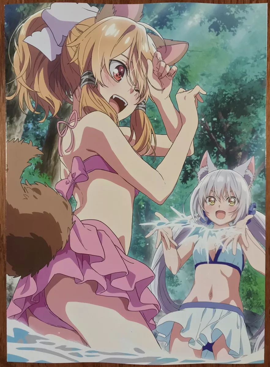 Double Sided Swimsuit Anime Poster: Seirei Gensouki, Strongest Sage