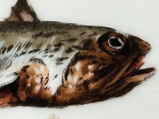 Charles Field Haviland CFH GDM Limoges Fish Plate Approx 9 1/8"