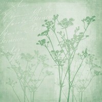 20 Servietten Papier 33 X 33 Cm Pflanzen GrüN Floral Harmony Ambiente Europe