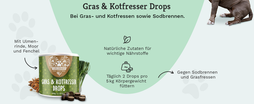Gras- & Kotfressen Drops Für Hunde Bei Fressen Von Gras Beruhigt Den Magen Darm - Bild 9 von 9