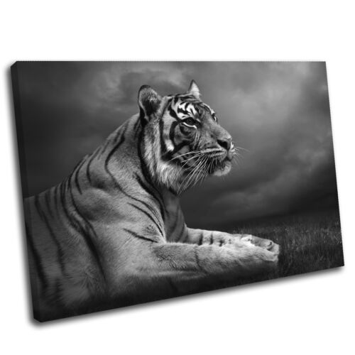 Tiger Leinwand Tier Wandbild Kunstdruck Bild 17 Galeriequalität - Bild 6 von 7