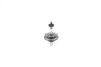 Bosch 1 987 301 410 Kfz-GlüHlampe FüR Ford Ford Usa Honda Honda Motorcycles