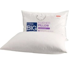 The Big One Feather Pillow Standard/Queen Size - Soft - 20 x 28 inches