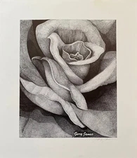 Open Rose by Gary James - Signed