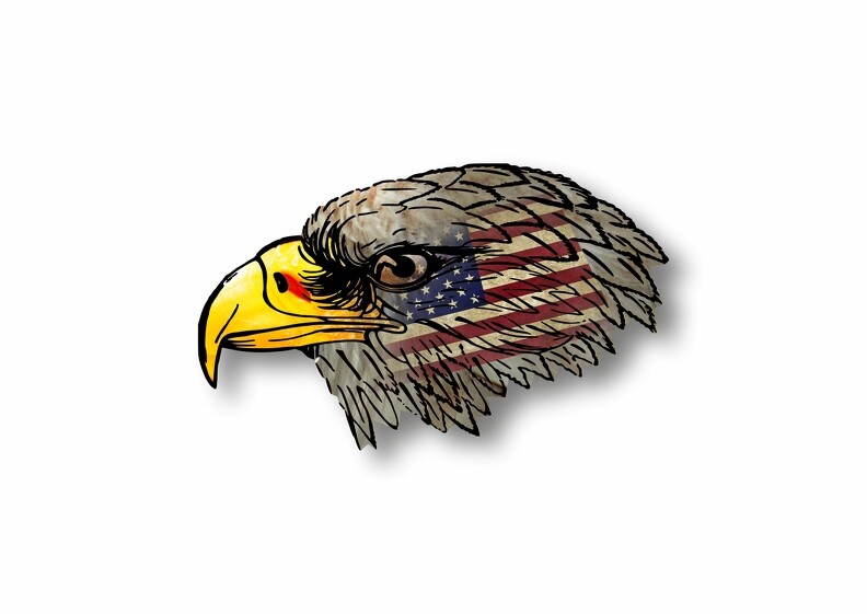 Adesivo Adesivo Adler Eagle Moto Bandiera Bandiere - Foto 3