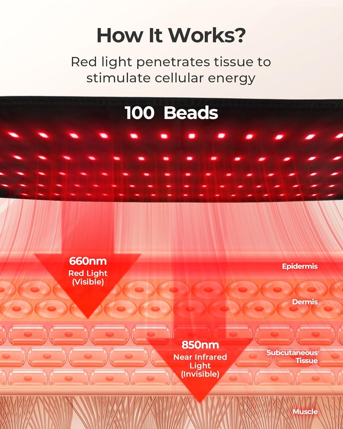 XASLA Red Light Therapy Belt, 660nm & 850nm Near Infrared XL-100 Lights 