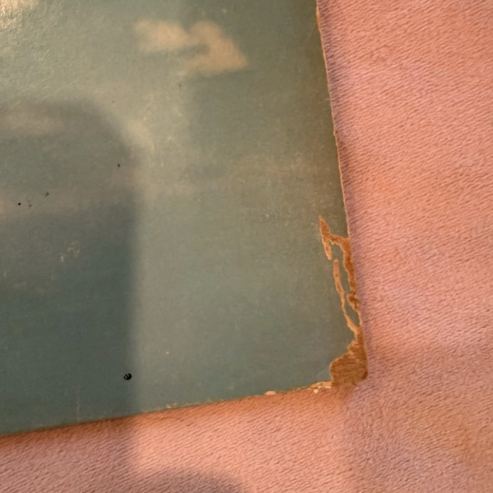 LEO SAYER Endless Flight BS 2962 Vinyl LP 1976 Original w/Inner Sleeve Foto 2 de 4