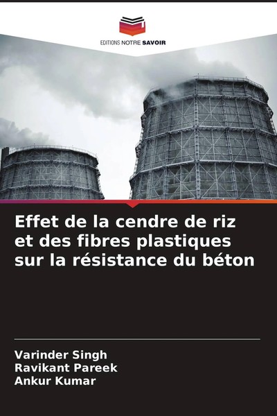 Varinder Singh (U. A.) | Effet De La Cendre De Riz Et Des Fibres Plastiques...-image