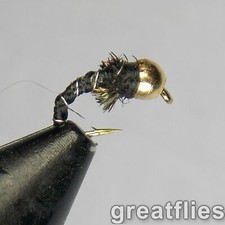 1 dozen (12) - Zebra Midge - Gold (brass) Bea...