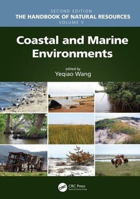 Coastal and Marine Environments by Yeqiao Wang: New