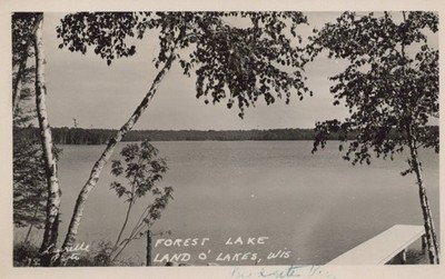 Forest Lake Land o' Lakes WI Dock Real Photo Postcard RPPC