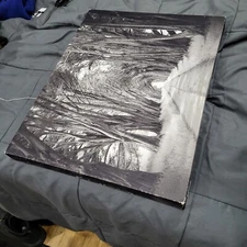 Black & white nature picture drawing