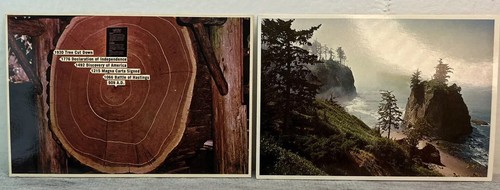 Lot 2 Postcards Redwood Prints For Framing Redcrest California 1984 Coastal - Picture 2 of 6