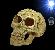 TOP Aquarium Deko kleiner 🍀 Totenkopf 🍀 Totenschädel Terrarium Zubehör Höhle