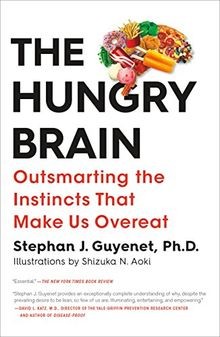 The Hungry Brain: Outsmarting the Instincts That Make Us... | Buch | Zustand gut