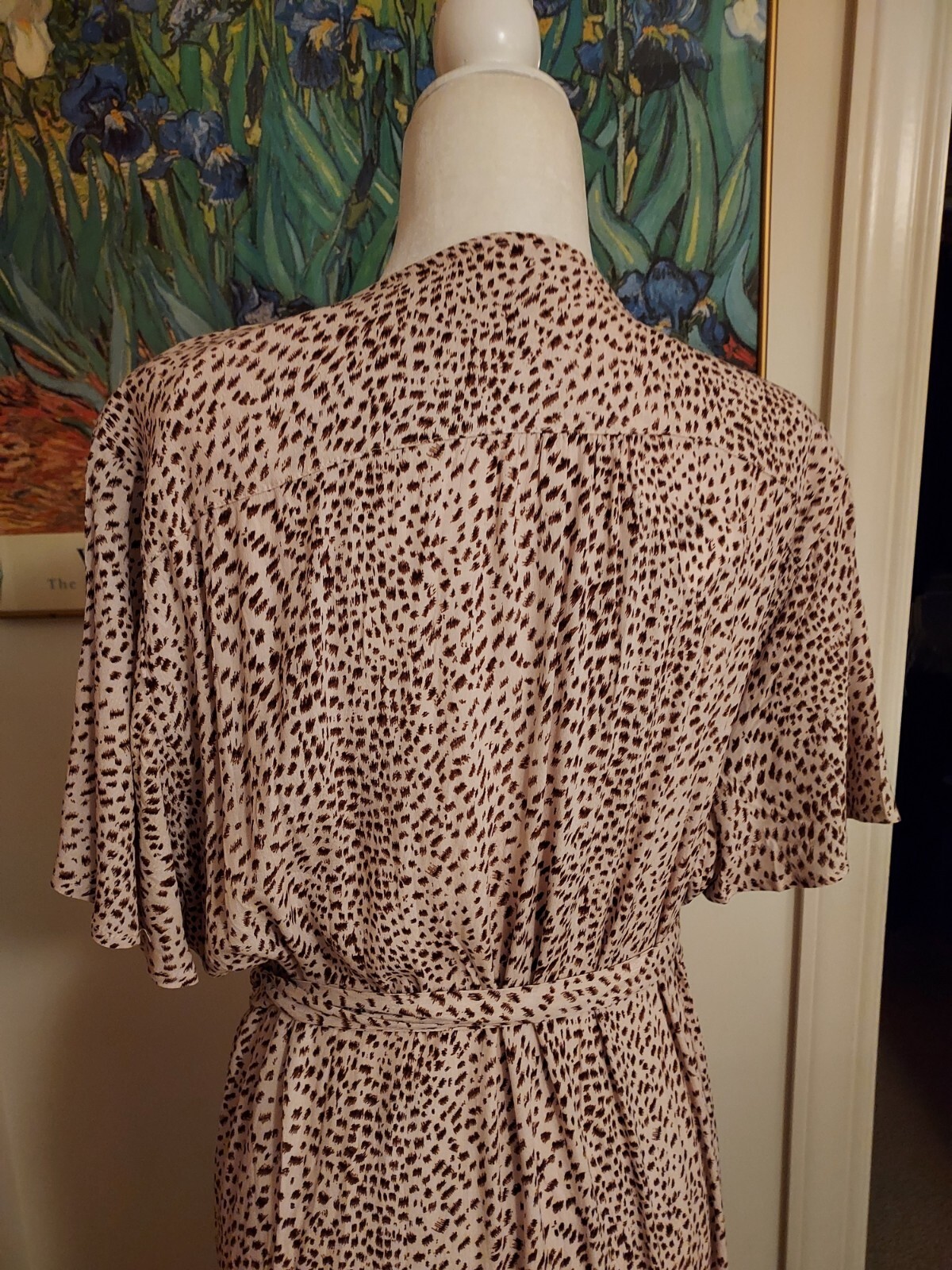 Picture 6 of 11
