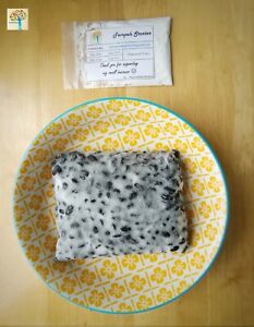 Rhizopus oligosporus Vegan Calcium B12 Protein Iron Organic Tempeh Starter
