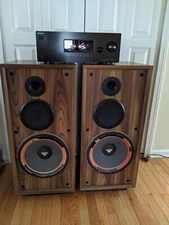 Pair Of Cerwin Vega DX-7 Speakers. 255 Watts, 4 Ohms. 34 Hz-20K Hz. 