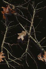 Mossy Oak Lifestyle Black Vinyl Wrap Air Release Matte Finish 12x12 Mossy Oak Lifestyle Black Vinyl Wrap Air Release Matte Finish 12x12