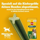 Bild 7 von 17