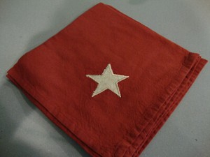 2 THE COUNTRY HOUSE COLLECTION BURGUNDY NAPKINS with TAN STAR -  17.5 X 17.5 in.