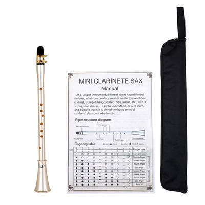 Portable Pocket Saxophone Little Sax Mini Sax with Carry Bag for Beginner